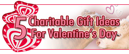 Best ideas about Charitable Gift Ideas
. Save or Pin 5 Charitable Last Minute Gift Ideas For Valentine’s Day Now.