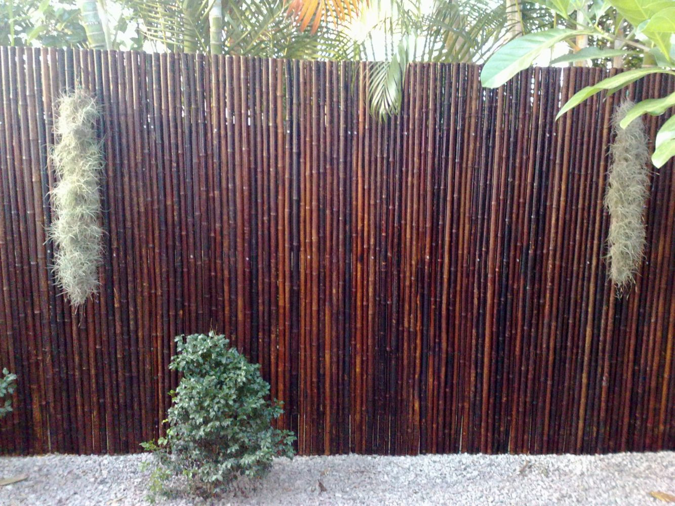 Best ideas about Cheap DIY Privacy Fence
. Save or Pin Cheap diy privacy fence ideas 29 Wartaku Now.