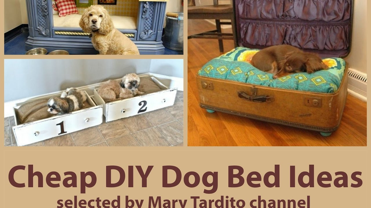 Best ideas about Cheap N Easy Dog Bed DIY
. Save or Pin Cheap DIY Dog Bed Ideas Now.