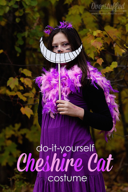 Best ideas about Cheshire Cat Costume DIY
. Save or Pin 35 Last Minute DIY Halloween Costumes Now.