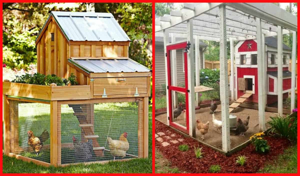 Best ideas about Chicken Coop DIY
. Save or Pin 100’s Free Chicken Coop Plans Now.