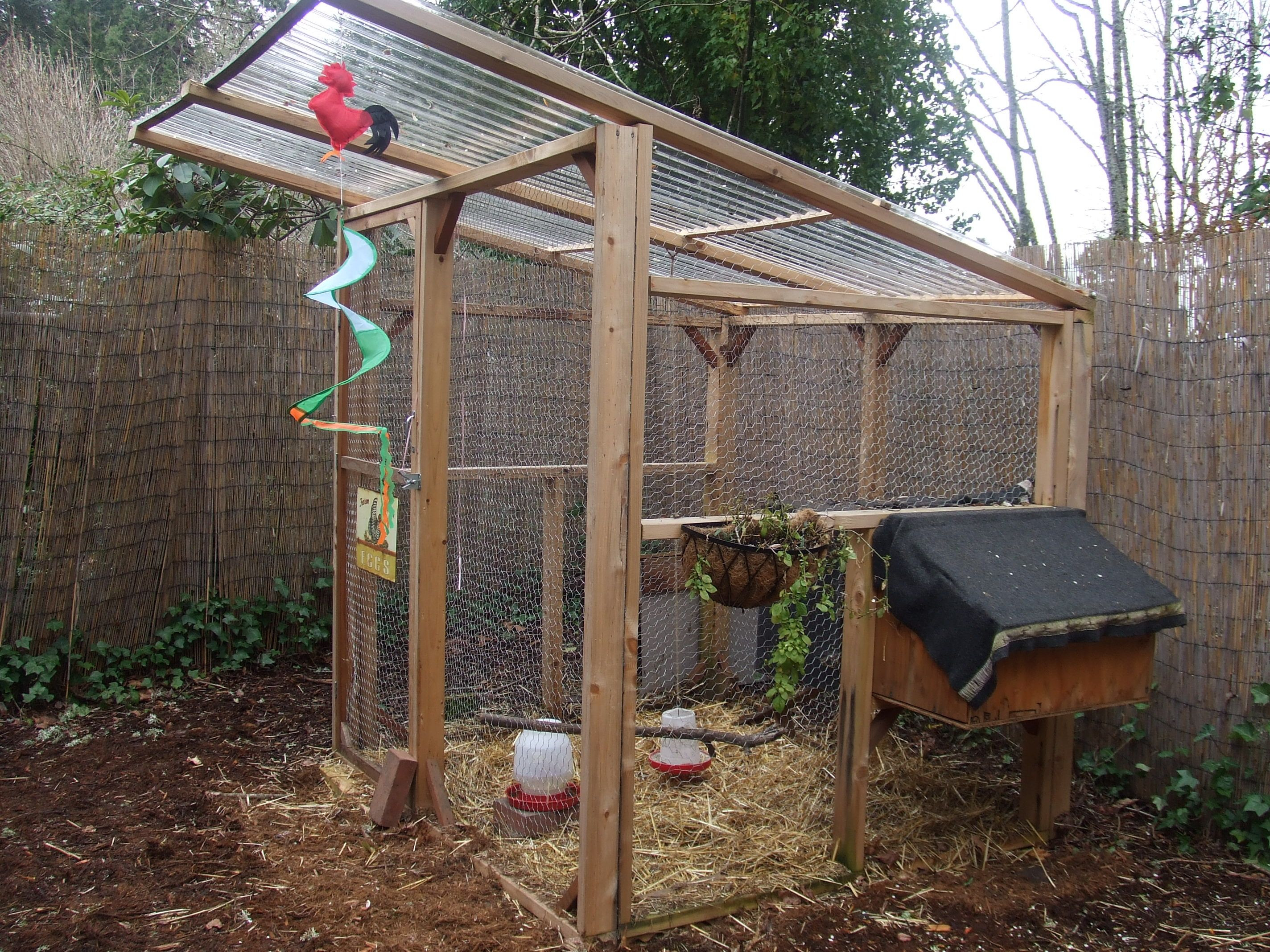 Best ideas about Chicken Coop DIY
. Save or Pin DIY Chicken Coop Scarlett Ibis Pinterest Now.