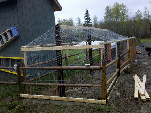 Best ideas about Chicken Coop DIY
. Save or Pin DIY Chicken Coop TheHomesteadingBoards Now.