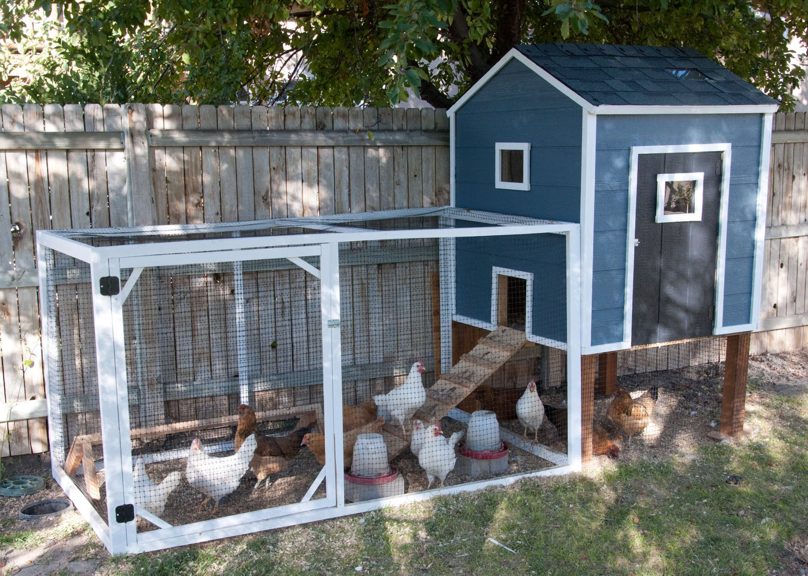 Best ideas about Chicken Coop DIY
. Save or Pin Our Chicken Coop A story of chickens Housewives of Now.