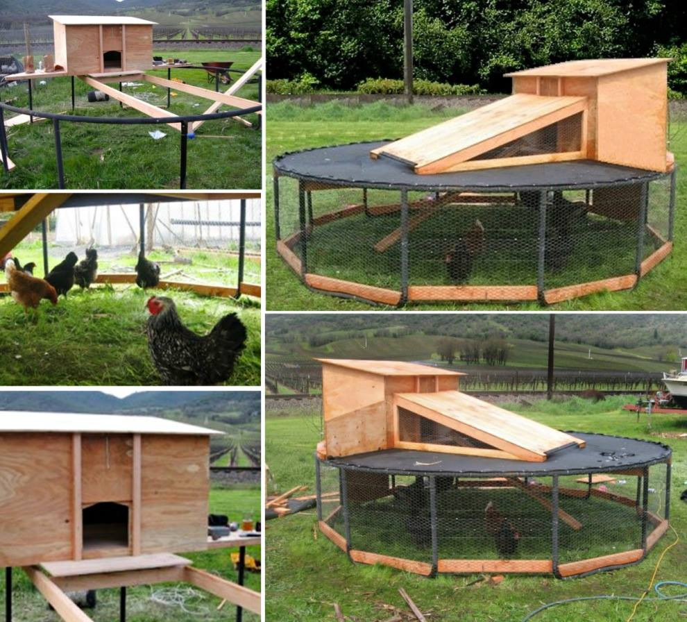 Best ideas about Chicken Coop Plans DIY
. Save or Pin Wonderful DIY Recycled Chicken Coops Now.