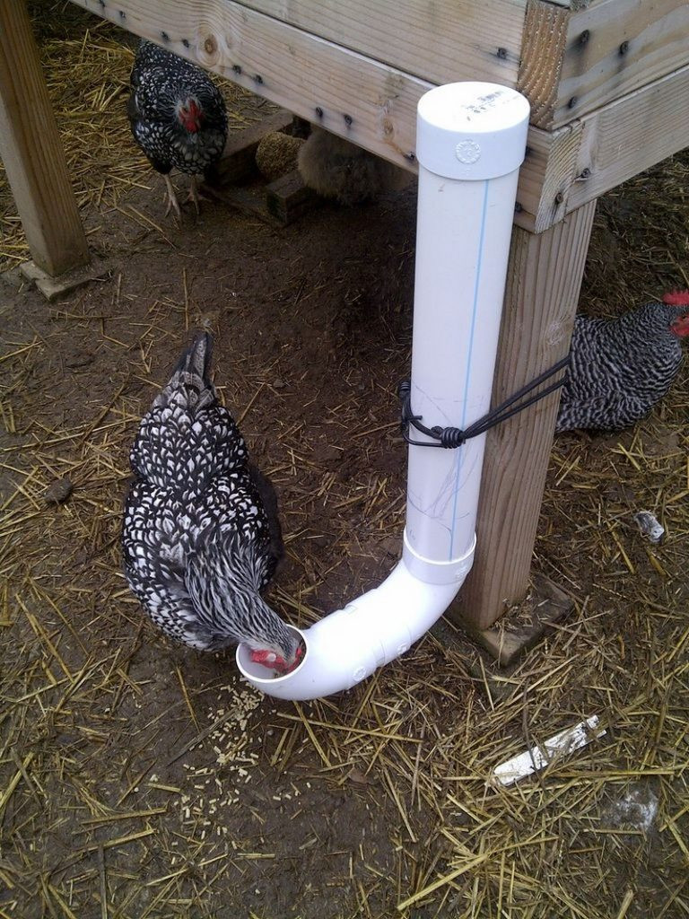 Best ideas about Chicken Feeder DIY
. Save or Pin How to build an inexpensive chicken feeder from PVC Now.