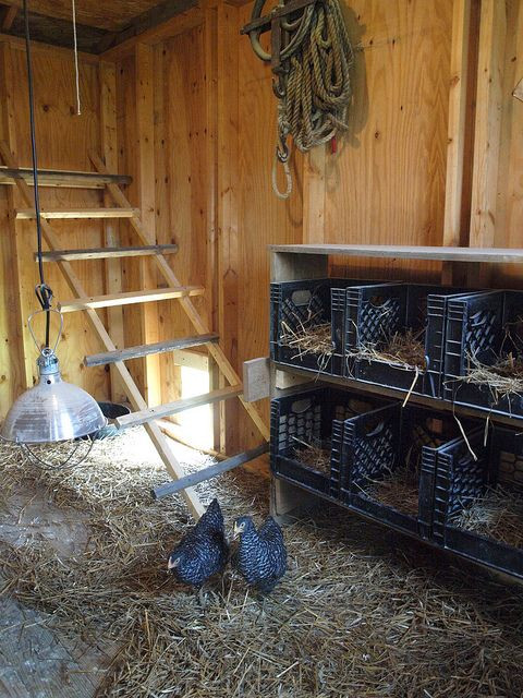 Best ideas about Chicken Nesting Boxes DIY
. Save or Pin Hen House Now.