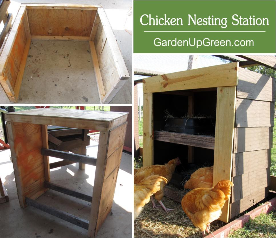 Best ideas about Chicken Nesting Boxes DIY
. Save or Pin Chicken Nesting Box Station in DIY Style – Garden Up Green Now.
