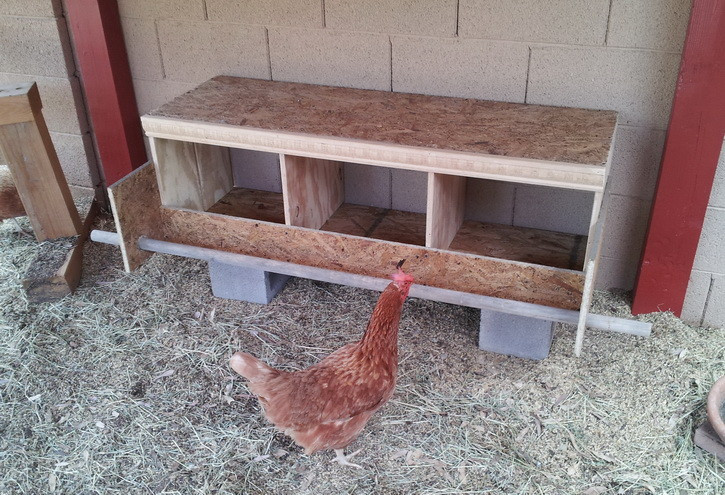 Best ideas about Chicken Nesting Boxes DIY
. Save or Pin diy chicken nesting box 07 Now.