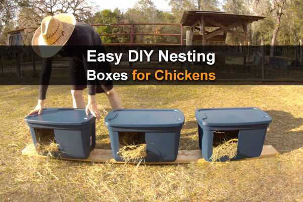 Best ideas about Chicken Nesting Boxes DIY
. Save or Pin Easy DIY Nesting Boxes For Chickens Homestead Survival Site Now.