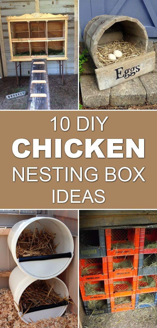 Best ideas about Chicken Nesting Boxes DIY
. Save or Pin 10 DIY Chicken Nesting Box Ideas Now.