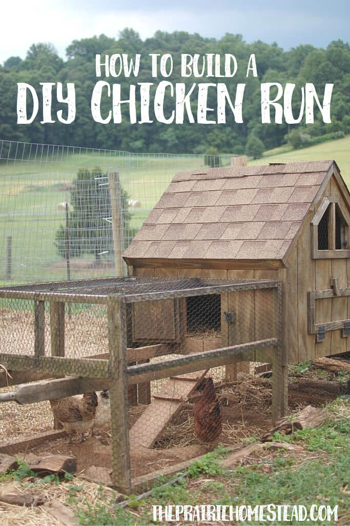 Best ideas about Chicken Run Plans DIY
. Save or Pin How to Build a Chicken Run • The Prairie Homestead Now.