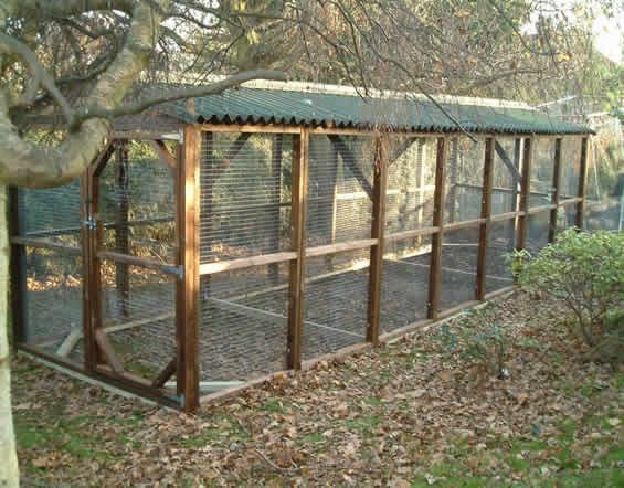 Best ideas about Chicken Run Plans DIY
. Save or Pin Chicken Run 6x9 basic size options Now.