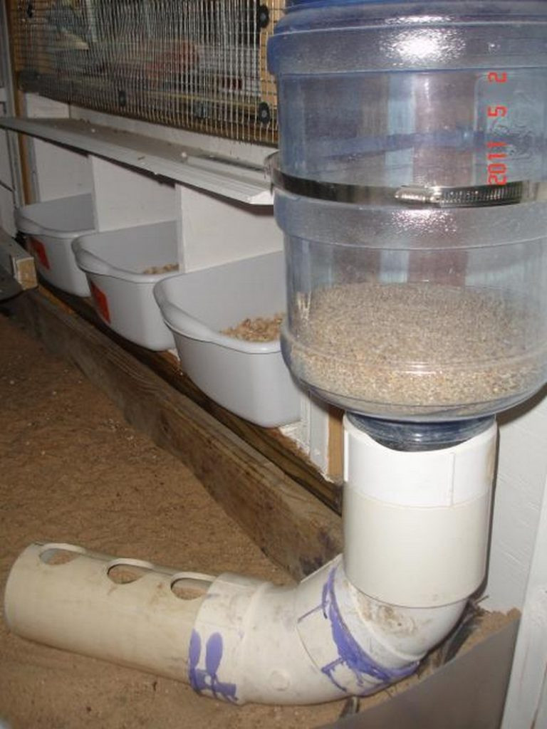 Best ideas about Chicken Waterer DIY
. Save or Pin How to build an inexpensive chicken feeder from PVC – The Now.