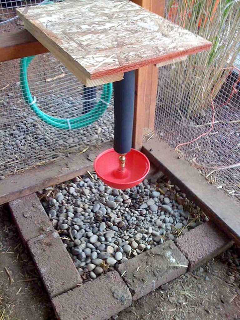 Best ideas about Chicken Waterer DIY
. Save or Pin Chicken Water Station Ideas – The Owner Builder Network Now.
