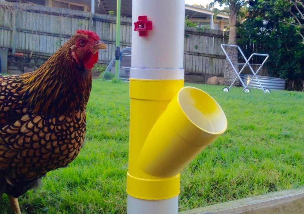 Best ideas about Chicken Waterer DIY
. Save or Pin No Worries Waterer – DIY Manual Patch to Table Now.
