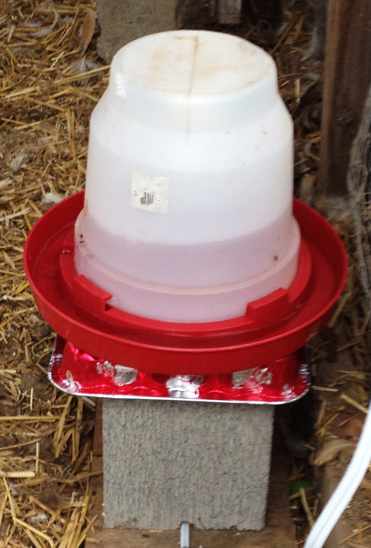 Best ideas about Chicken Waterer DIY
. Save or Pin DIY Chicken Water Heater Less Than Four Minutes and Four Now.