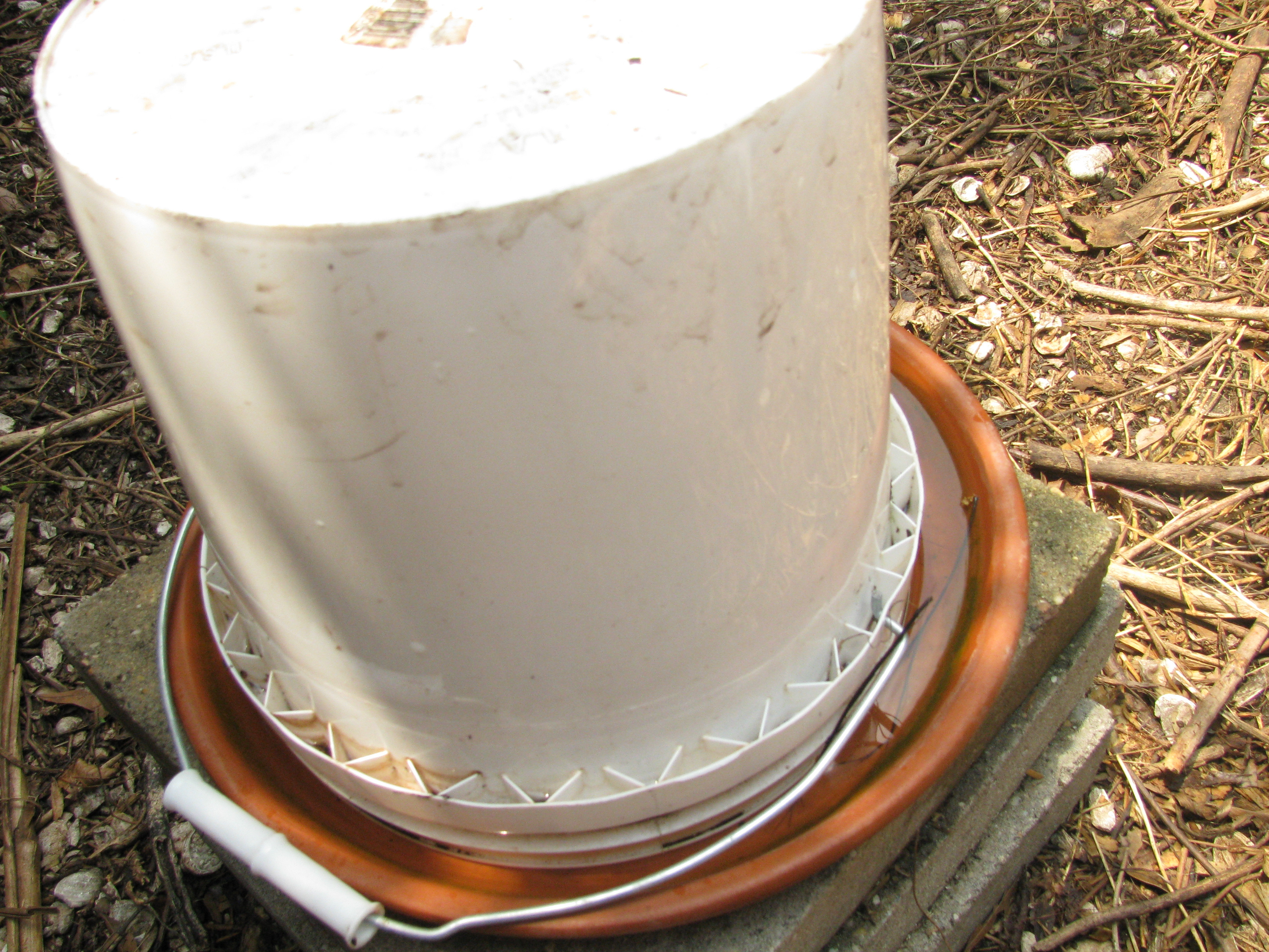 Best ideas about Chicken Waterer DIY
. Save or Pin 301 Moved Permanently Now.