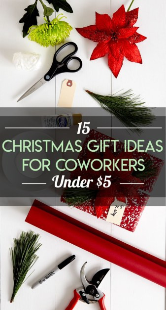 Best ideas about Christmas Gift Ideas For Coworkers Under $5
. Save or Pin 15 Christmas Gift Ideas For Coworkers Under $5 Society19 Now.