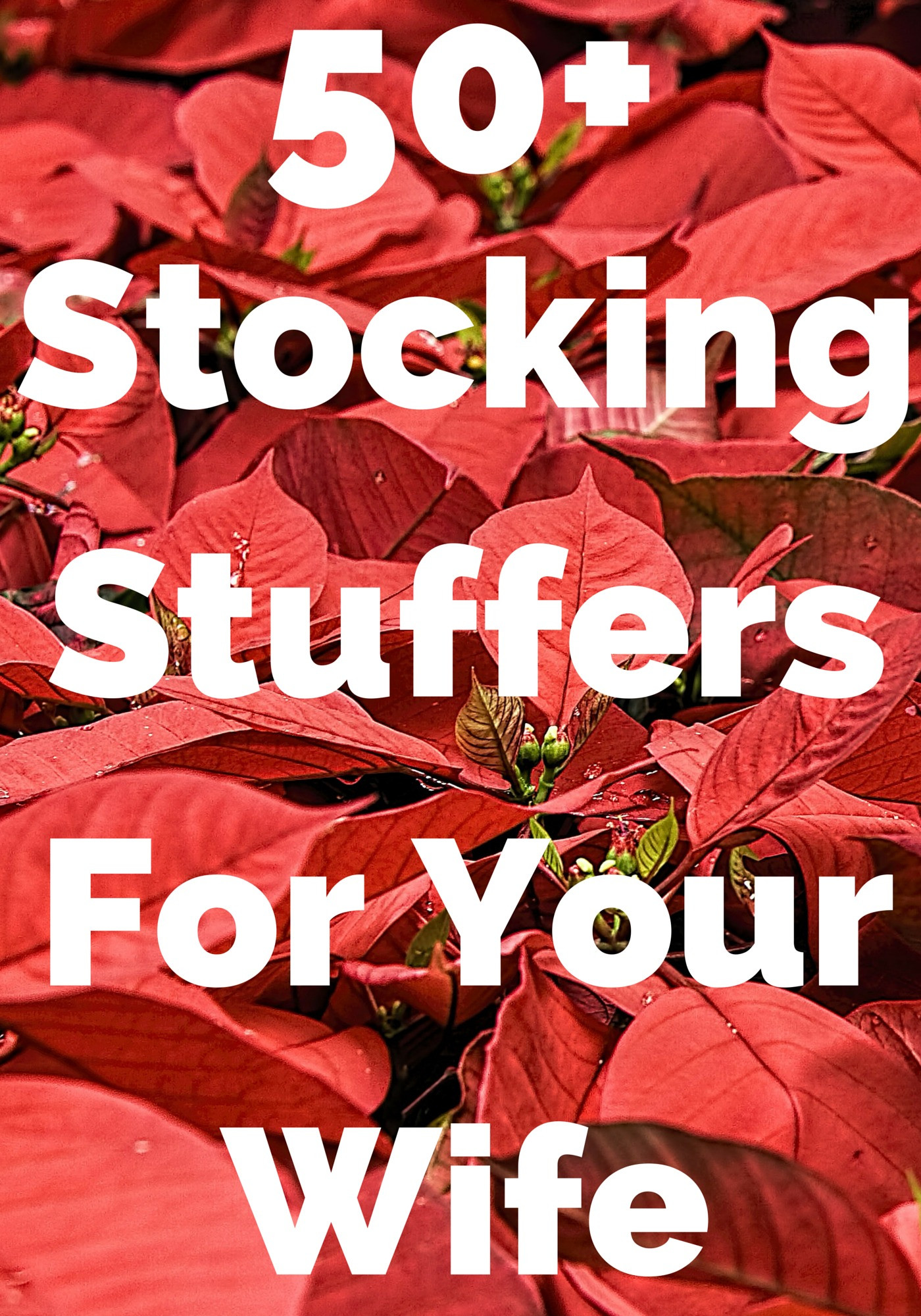 Best ideas about Christmas Gift Ideas For Your Wife
. Save or Pin Best 50 Stocking Stuffers for Your Wife Now.