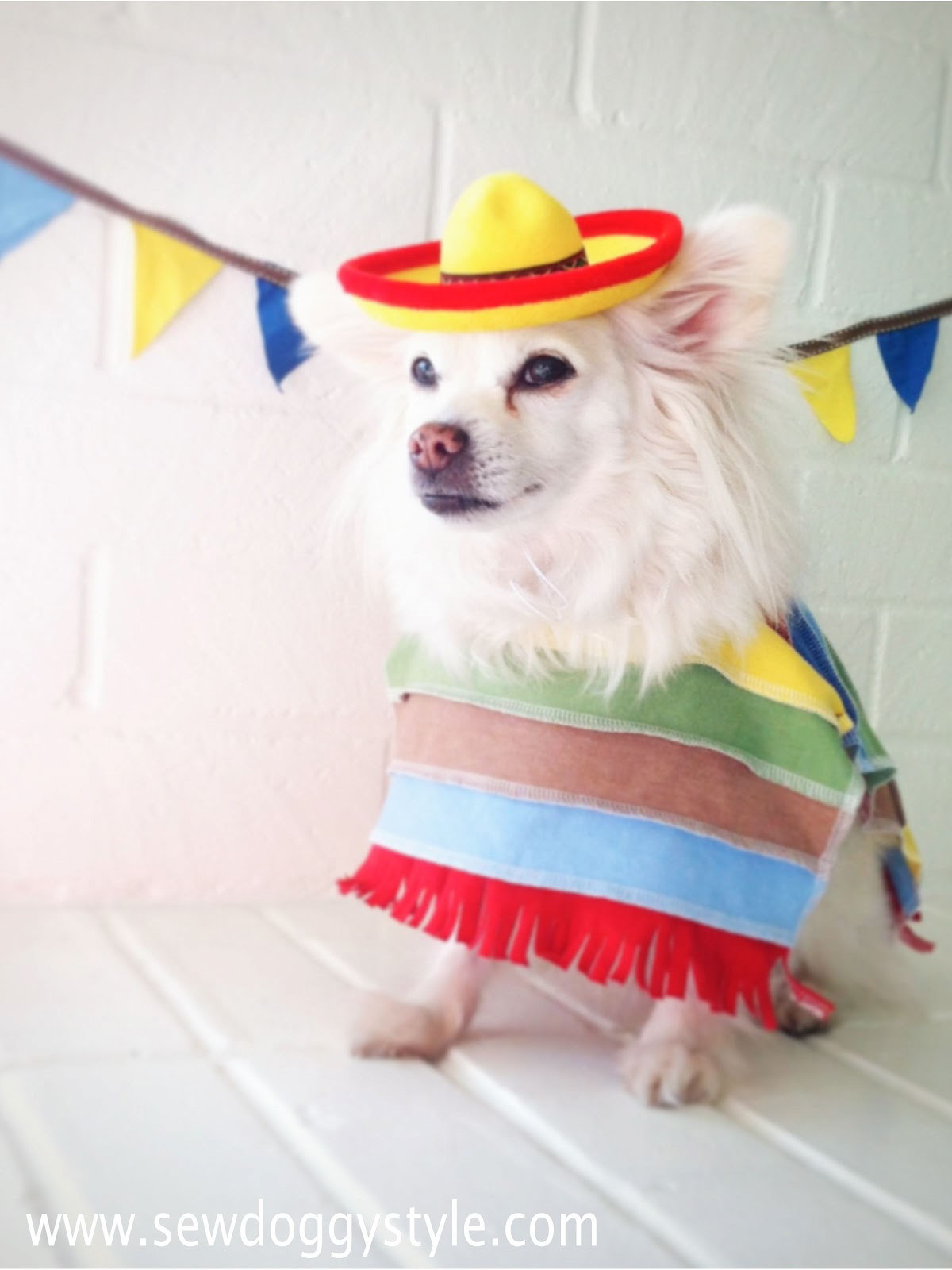 Best ideas about Cinco De Mayo Costumes DIY
. Save or Pin Sew DoggyStyle Cinco De Mayo DIY Mini Flag Banner and Now.