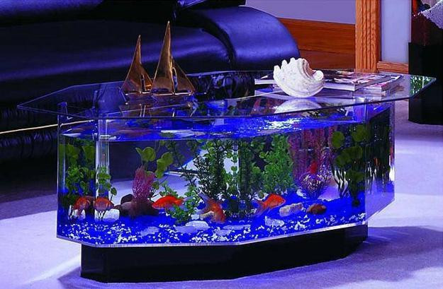 Best ideas about Coffee Table Aquarium
. Save or Pin 30 Creative Aquariums Ideas For Fish Lover 14 Is Best Now.