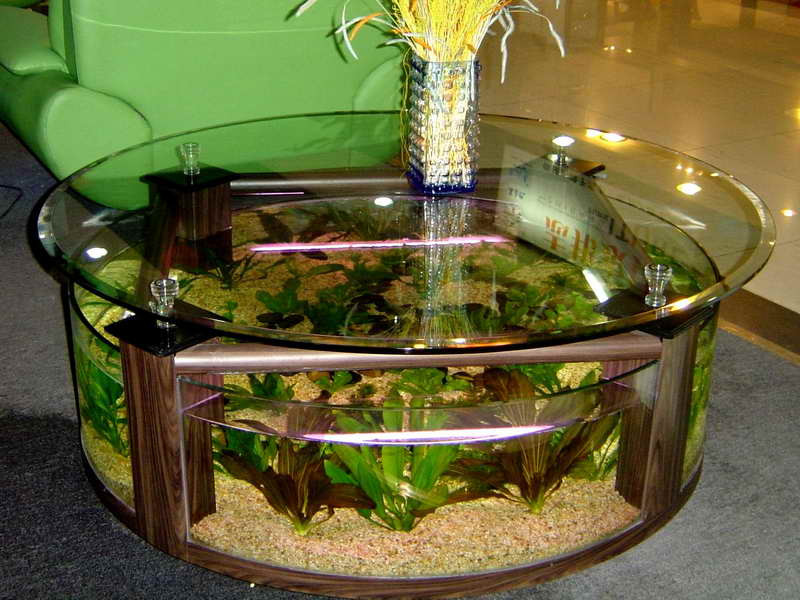 Best ideas about Coffee Table Aquarium
. Save or Pin 8 Extremely Interesting Places to Put an Aquarium in Your Home Now.
