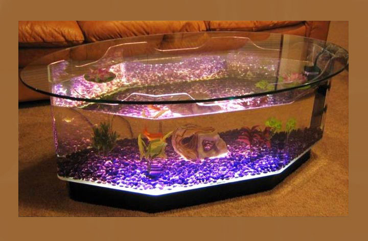 Best ideas about Coffee Table Aquarium
. Save or Pin Quiet Corner Beautiful Coffee Table Aquariums Quiet Corner Now.