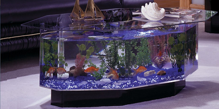 Best ideas about Coffee Table Aquarium
. Save or Pin Cool Things You Can Buy line Which You Never Knew Existed Now.