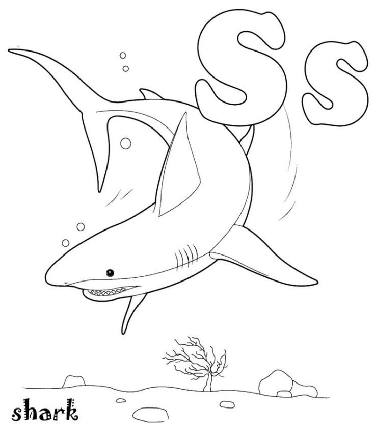 Best ideas about Coloring Pages For Boys Sharks
. Save or Pin S For Shark Coloring Pages coloring pages boys Now.