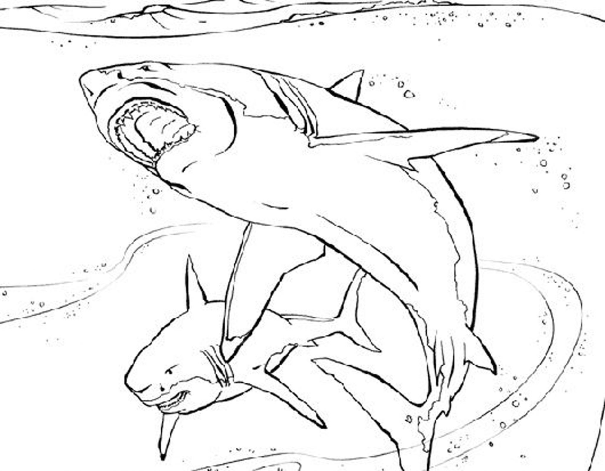 Best ideas about Coloring Pages For Boys Sharks
. Save or Pin Coloring Pages for Boys & Training Shopping For Children Now.