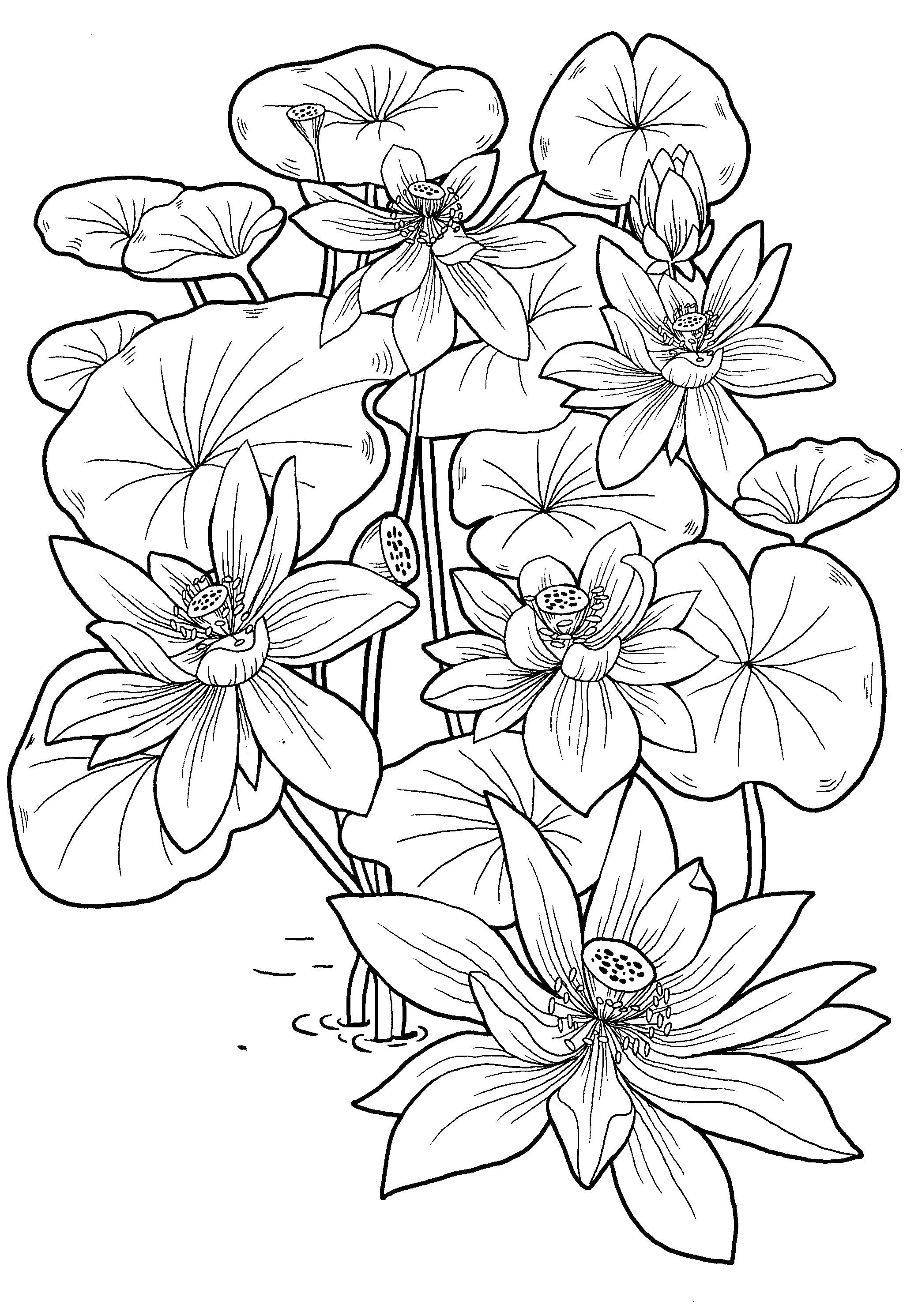 Best ideas about Coloring Pages For Girls 8 Yr
. Save or Pin Coloring pages for 8 9 10 year old girls to and Now.