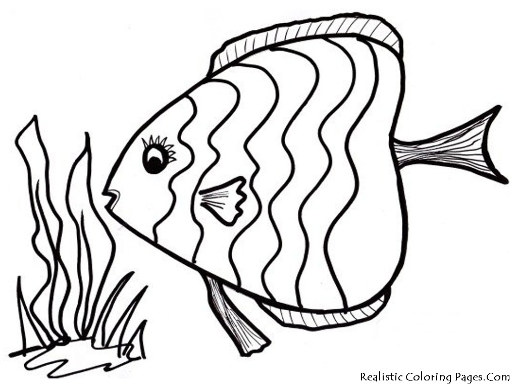 Best ideas about Coloring Pages For Kids Fish
. Save or Pin Ocean Fish Coloring Pages Now.