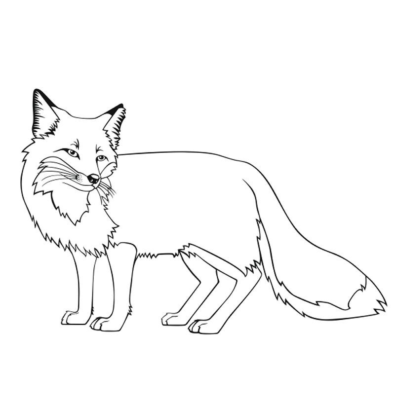 Best ideas about Coloring Pages For Kids Fox
. Save or Pin Pin by Shreya Thakur on Free Coloring Pages Now.