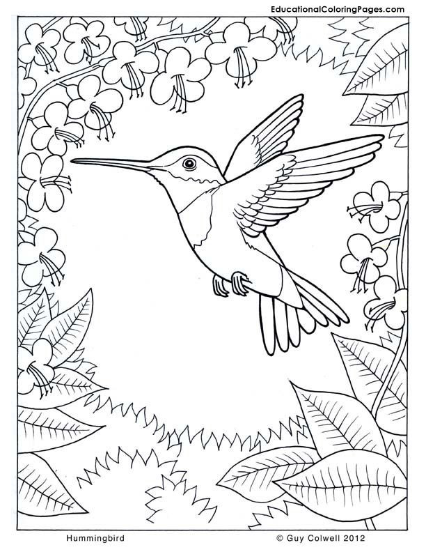 Best ideas about Coloring Pages For Kids Nature
. Save or Pin Colouring Pages Nature Coloring Home Now.