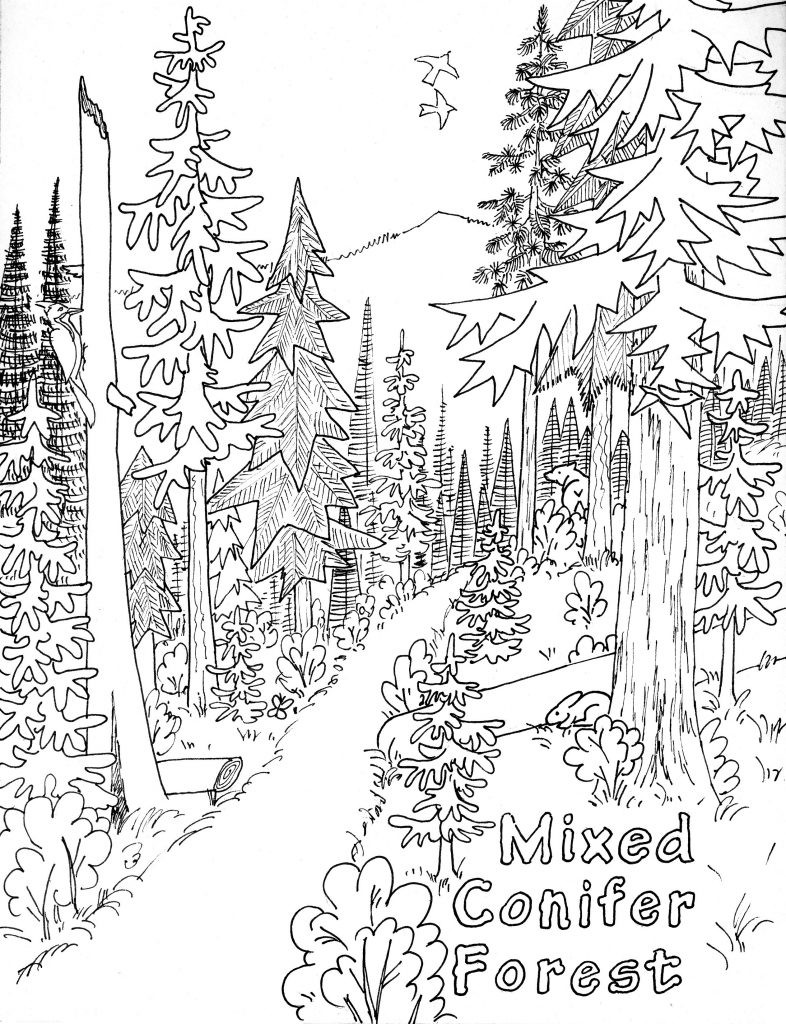 Best ideas about Coloring Pages For Kids Nature
. Save or Pin Free Printable Nature Coloring Pages For Kids Best Now.