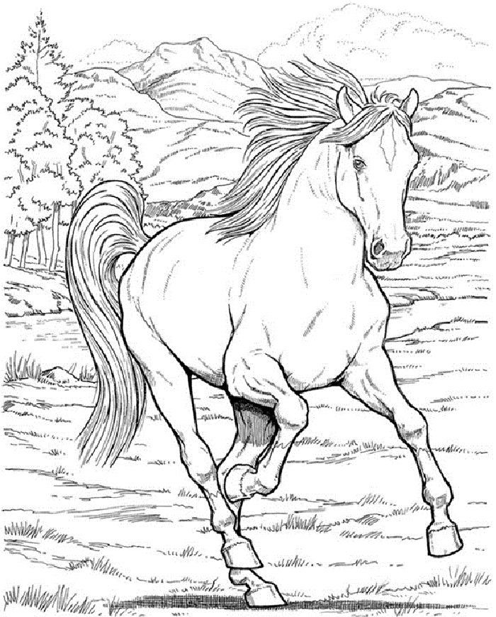 Best ideas about Coloring Pages For Teens Horses
. Save or Pin Ausmalbilder Pferde 15 Now.