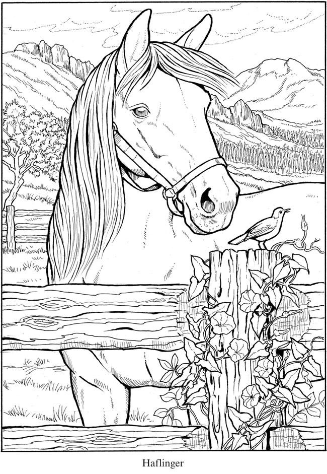 Best ideas about Coloring Pages For Teens Horses
. Save or Pin Pin by jenny Culligan on Line s Now.