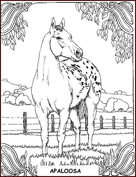 Best ideas about Coloring Pages For Teens Horses
. Save or Pin 14 best Horse Colouring Pages images on Pinterest Now.