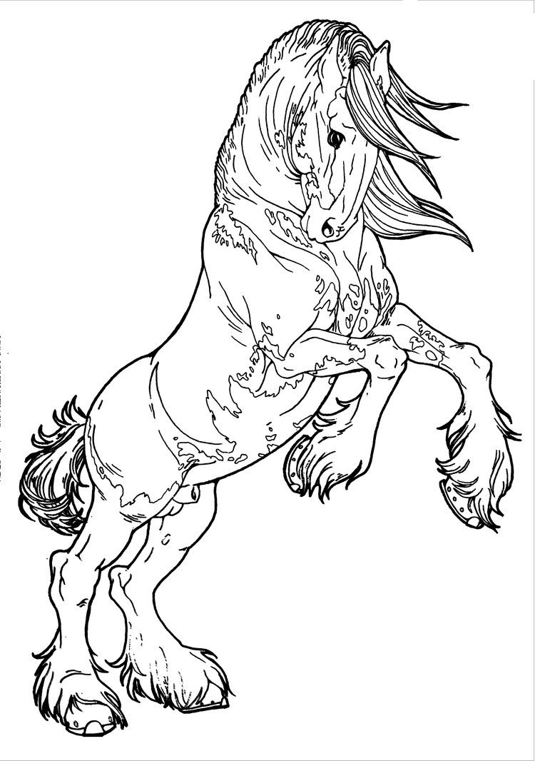 Best ideas about Coloring Pages For Teens Horses
. Save or Pin Patterned Clydesdale by AppleHunter on DeviantArt Now.