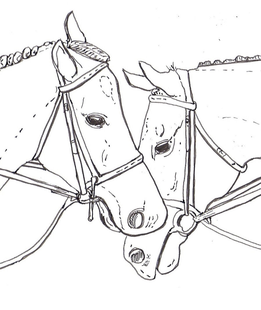 Best ideas about Coloring Pages For Teens Horses
. Save or Pin Flying Pony Studios What about coloring books for kids Now.