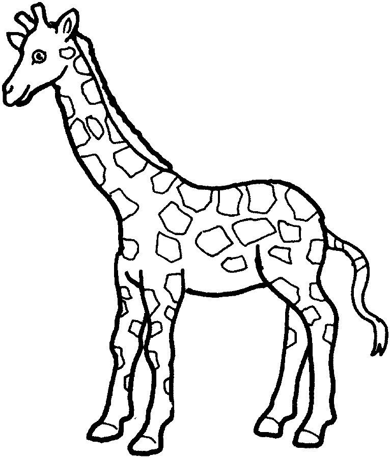 Best ideas about Coloring Pages For Teens Of Zerbra And Giraffe
. Save or Pin SIMPLE GIRAFFE OUTLINE Now.