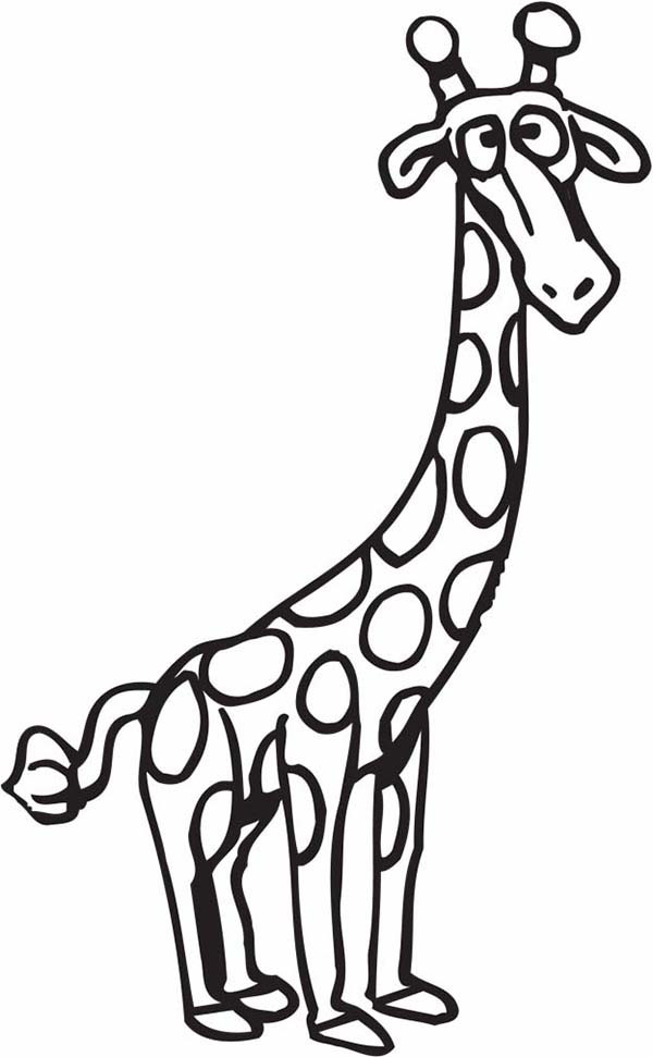 Best ideas about Coloring Pages For Teens Of Zerbra And Giraffe
. Save or Pin Confused Giraffe Coloring Page NetArt Now.
