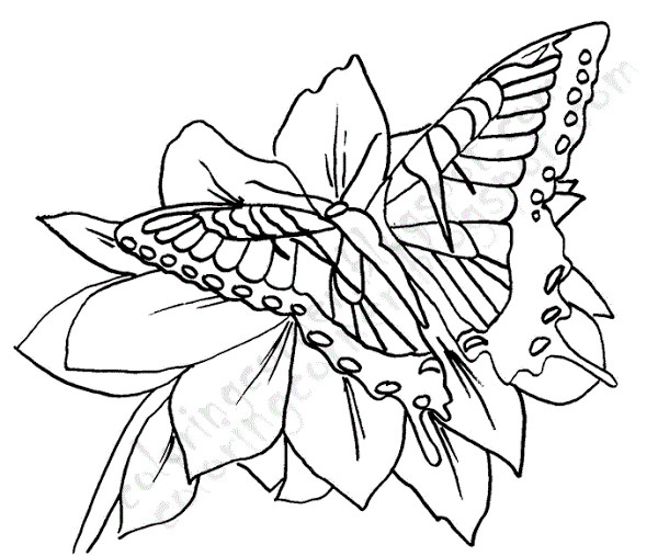 Best ideas about Coloring Sheets For Girls Butterfly
. Save or Pin Free line Coloring Pages For Girls – Colorings Now.