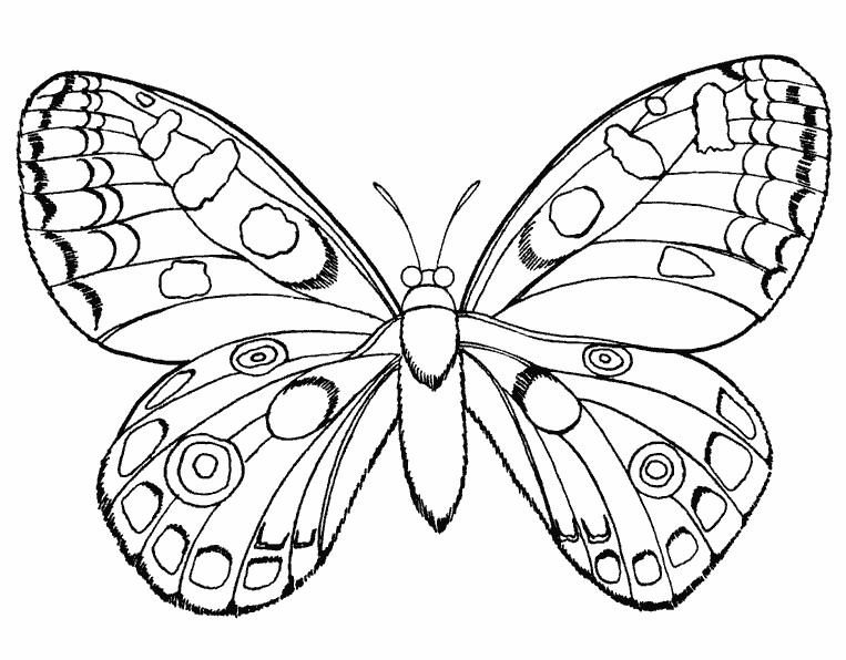 Best ideas about Coloring Sheets For Girls Butterfly
. Save or Pin Раскраска насекомые Now.