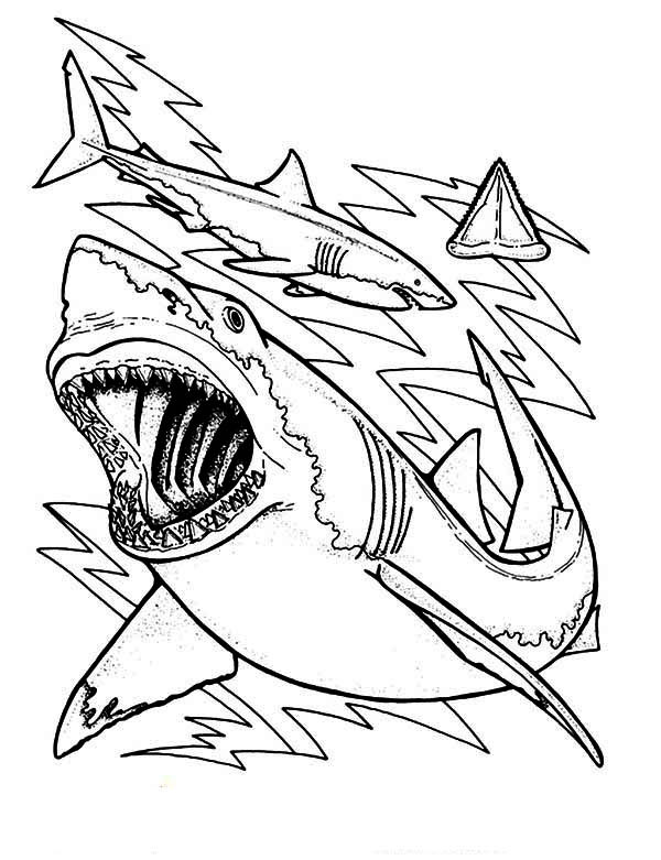 Best ideas about Cool Shark Coloring Sheets For Boys
. Save or Pin Shark Coloring Pages Bestofcoloring Now.