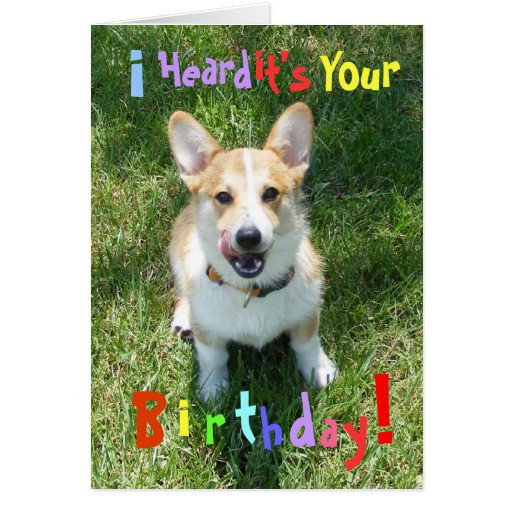 Best ideas about Corgi Birthday Card
. Save or Pin Corgis and Cake Birthday Card Now.