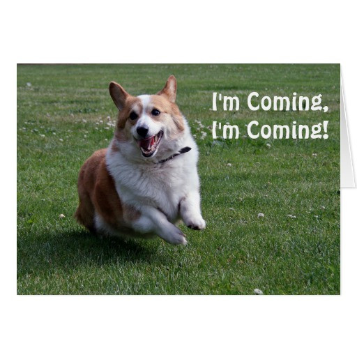 Best ideas about Corgi Birthday Card
. Save or Pin Corgi Birthday Card Now.