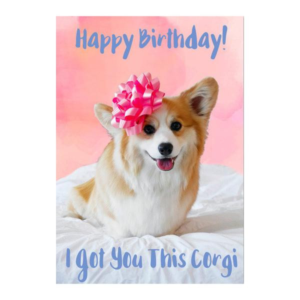 Best ideas about Corgi Birthday Card
. Save or Pin Tibby Got You This Corgi Birthday Card – Tibby the Corgi Now.