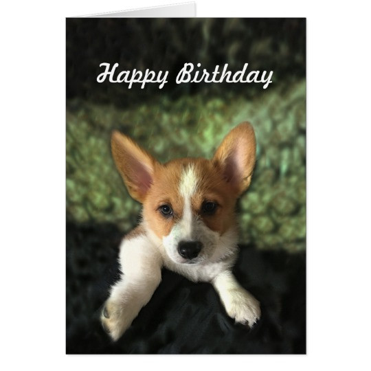 Best ideas about Corgi Birthday Card
. Save or Pin Corgi Puppy Happy Birthday Card Now.